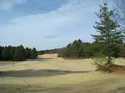 Photograph of sandy terrain