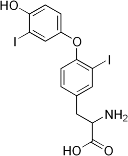 Skeletal formula of the 3,3'-diiodothyronine molecule