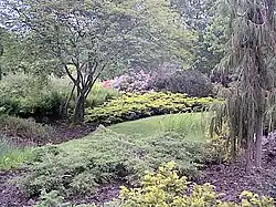 Drum Manor Forest Park gardens in the summer: grass, trees and flowering bushes in view