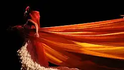 Latin Ballet of Virginia