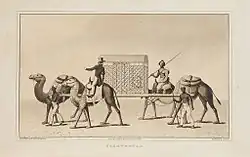 Elwood was carried between two camels