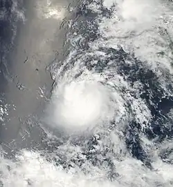 Tropical Storm Estelle at peak intensity on August 6