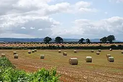 Fields near Barrowhouse, County Laois