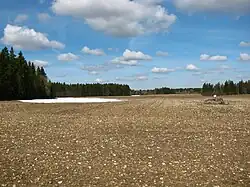 Fallow field with cult stone in Kanavere