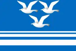 Flag of Chistoozyorny District