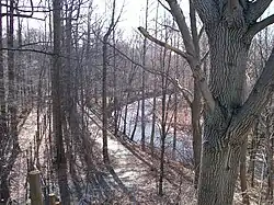 Along the west side of the property, there's a fairly steep cliff, with horse trails, which drops down to this stream.