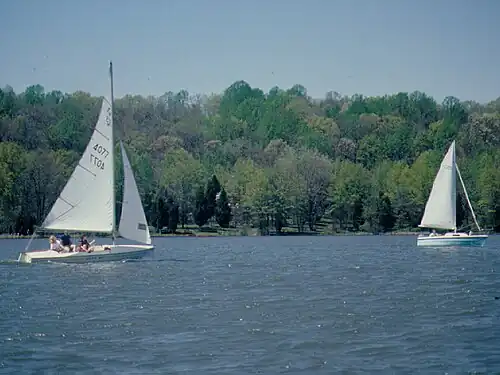 Sailboats on the lake.