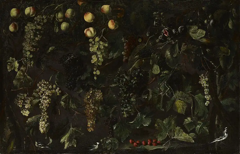 Grape Vines and Fruit, with Three Wagtailsca (ca. 1615) oil on canvas (40 × 61 3/4 in. /101.6 × 156.8 cm) Metropolitan Museum of Art, New York