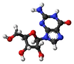 Ball-and-stick model of the guanosine molecule
