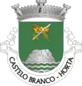 Coat of arms of Castelo Branco
