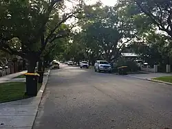 tree lined residential street