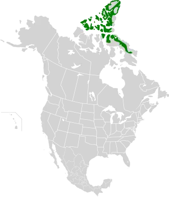 Ecoregion territory (in green)