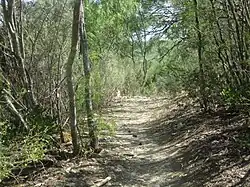 On the hiking trail in Castroville