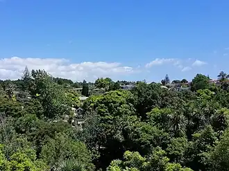 View over Hillpark suburb from Orams Road motorway overbridge