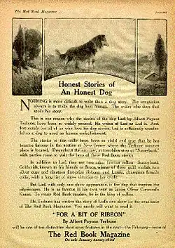 Three graphics panel at the top of a magazine page depict trees and a grass land. A dog, a Rough Collie, stands in the center panel. Text underneath the panels praise Terhune's writing abilities and call for readers to buy the next issue to read Terhune's next short story.
