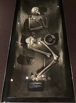 Bronze Age (?) skeleton