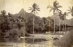 Ikurangi Peak, Rarotonga, 1887