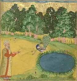 A wise man and a peacock stand by a pond. The peacock is plucking out its feathers.