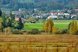 Irgenhausen as seen from Auslikon (April 2010)
