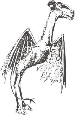 Drawing of a monster with the head of a goat, the body of a horse, bat wings, and a forked tail.