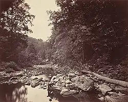 Broadhead’s Creek, Delaware Water Gap, 1863, albumen silver print, 26.1 x 34 cm (10 3/8 × 13 in.) National Gallery of Art, Washington, D.C.