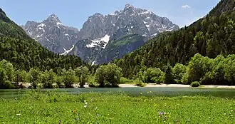 Image 9An alpine meadow in Julian Alps, with Prisojnik and Razor in the back