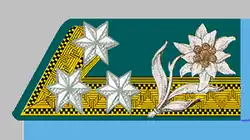 Cadet Sergeant (Kadett-Feldwebel) Cadet (Kadett) from 1908