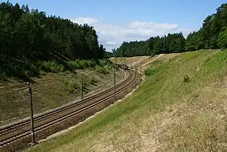 PKP rail line 401 running thru the Wolin National Park