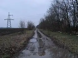 Rural road in Krylovsky District