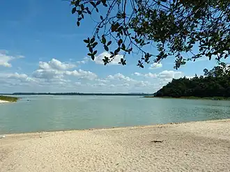 A beach with trees and clear water under the clear sky.