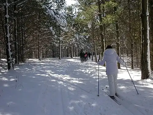 Cross country ski trails
