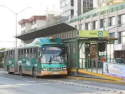 A green articulated bus at a roadside station
