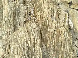 Weathered metamorphic rock at Malfa-Kassa in central Togo