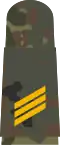 gold-yellow emblem on 5-colour-flecktarn – Marine (Hauptgefreiter)