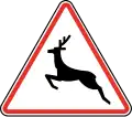 116 Wild animals crossing