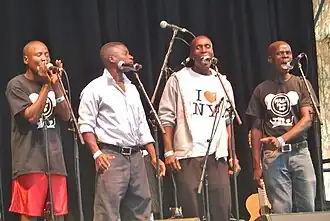 Malawi Mouse Boys at WOMADelaide in 2015