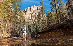West Fork Trail In Sedona. AZ.