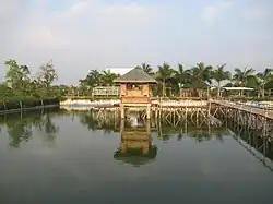 Mang Danny's Organic & Natural Farm, Sitio Sapang Camachile, Santo Rosario