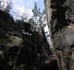 Mousetrap (Mausefalle)