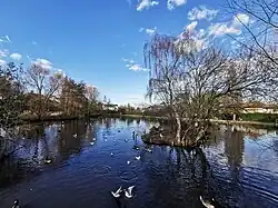 View towards the northern end with the smaller of the pond's two islands on the right