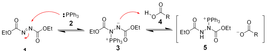 The initial stages of the mechanism proposed for the Mitsunobu reaction.