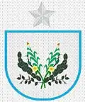 Coat of arms of Senador Rui Palmeira