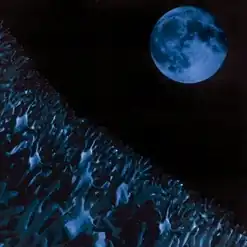 A blue-tinted image of a full moon and many raised hands.