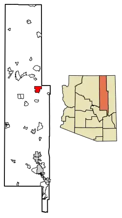 Location of Whitecone in Navajo County, Arizona.