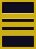 Flight suit sleeve insignia for a lieutenant colonel (2003–present)