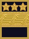 Flight suit sleeve insignia (Ärmmatta m/02) for a lieutenant general[7] (1972–present)