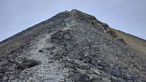 Trail to the top of Observation Hill (February 2017)
