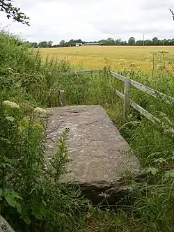 Ballyboodan Ogham Stone inscribed "Here lies Corbmac ó Cuinn".