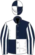 Dark blue and white (quartered), striped sleeves