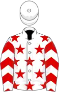 White, red stars, red and white chevrons on sleeves